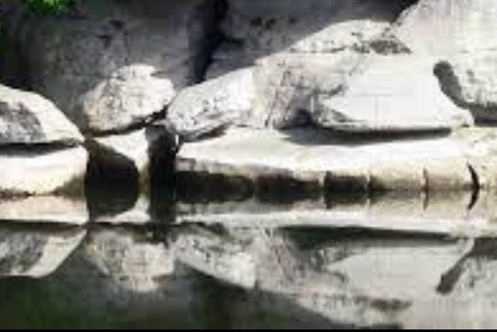 サラヴァ La O'Liso Gorges De L'Ardecheヴィラ エクステリア 写真